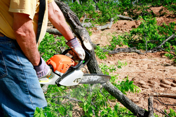 Best Lawn Mowing  in Monterey, CA